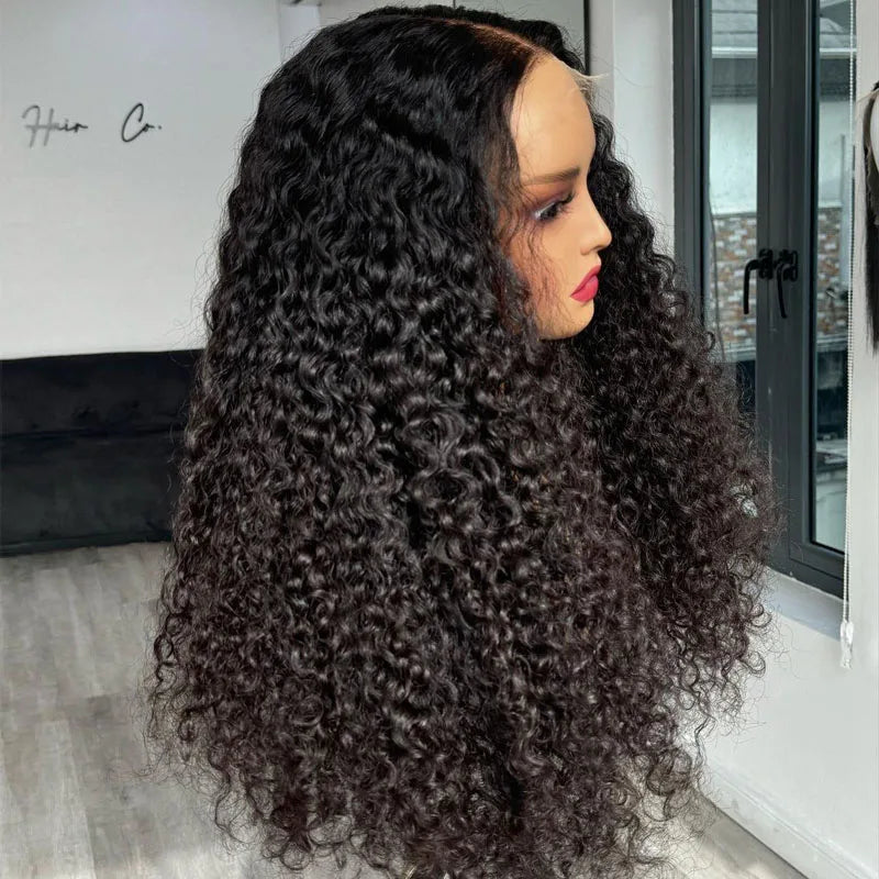6x6 HD Lace Closure Curly Wig — Glueless Pre-Plucked Vietnamese Virgin Human Hair (10"–40")